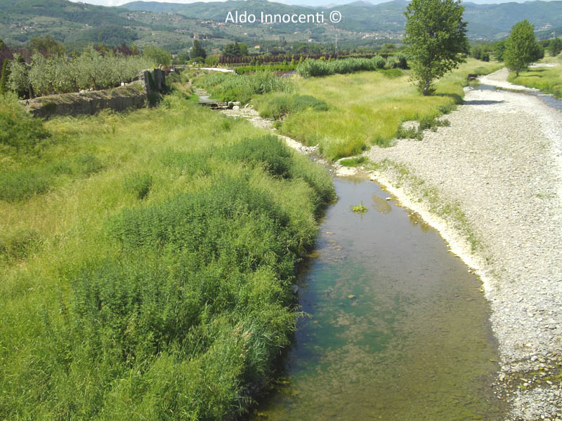 RIO TORBECCHIA SFOCIA NELL'OMBRONE 1